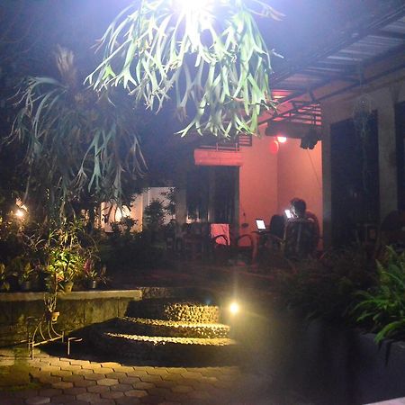 Banyu Homestay بانيووانجى المظهر الخارجي الصورة