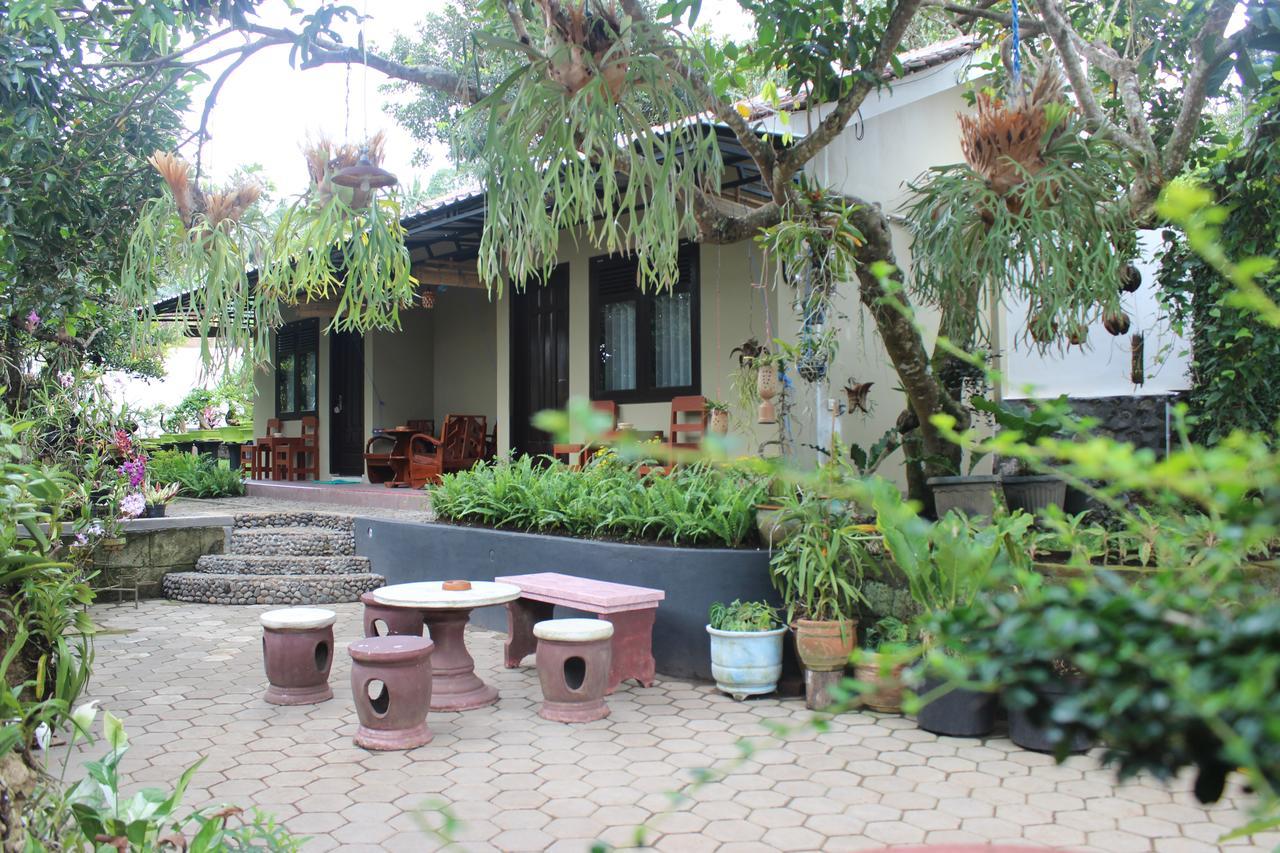 Banyu Homestay بانيووانجى المظهر الخارجي الصورة