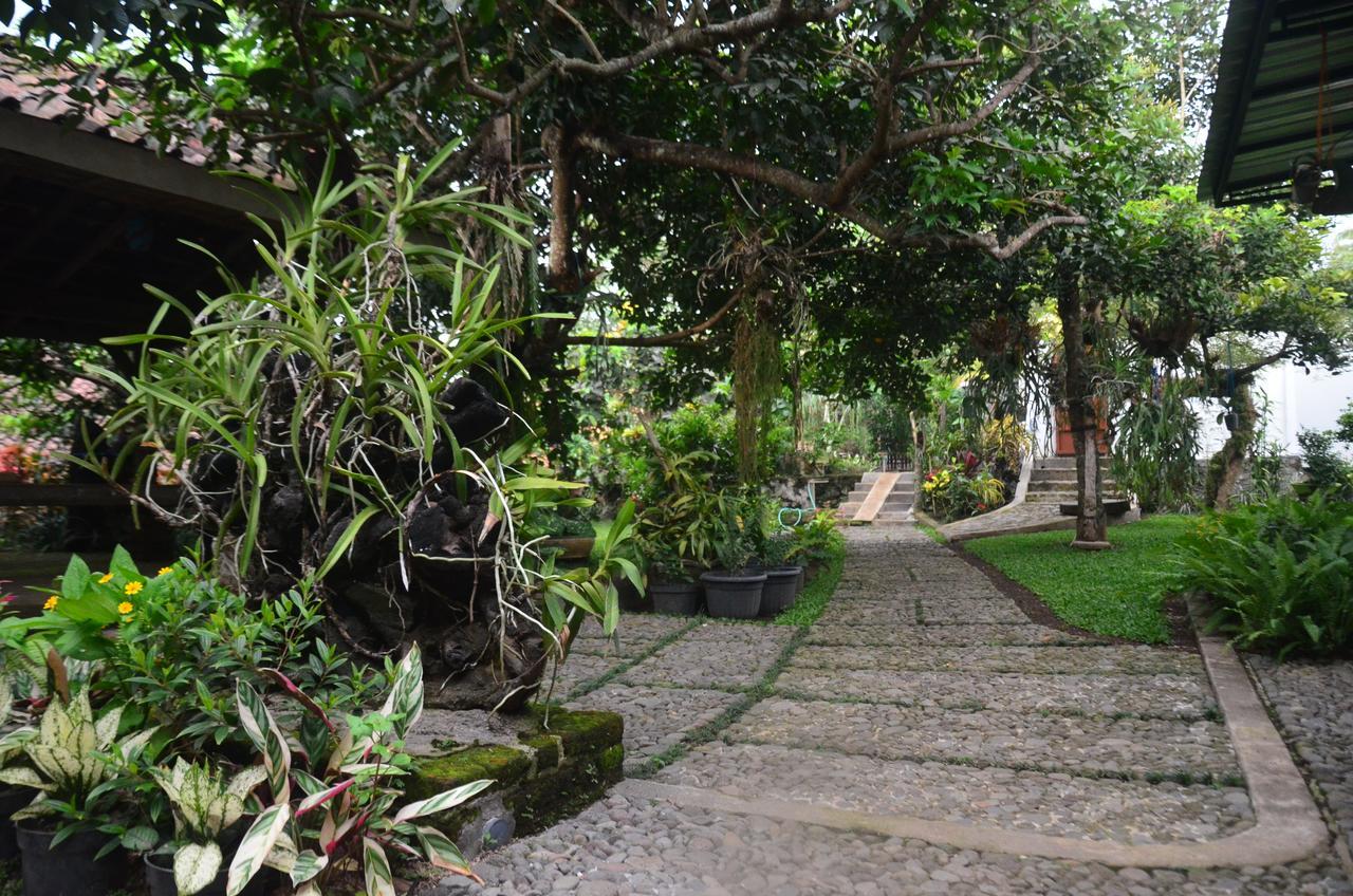 Banyu Homestay بانيووانجى المظهر الخارجي الصورة
