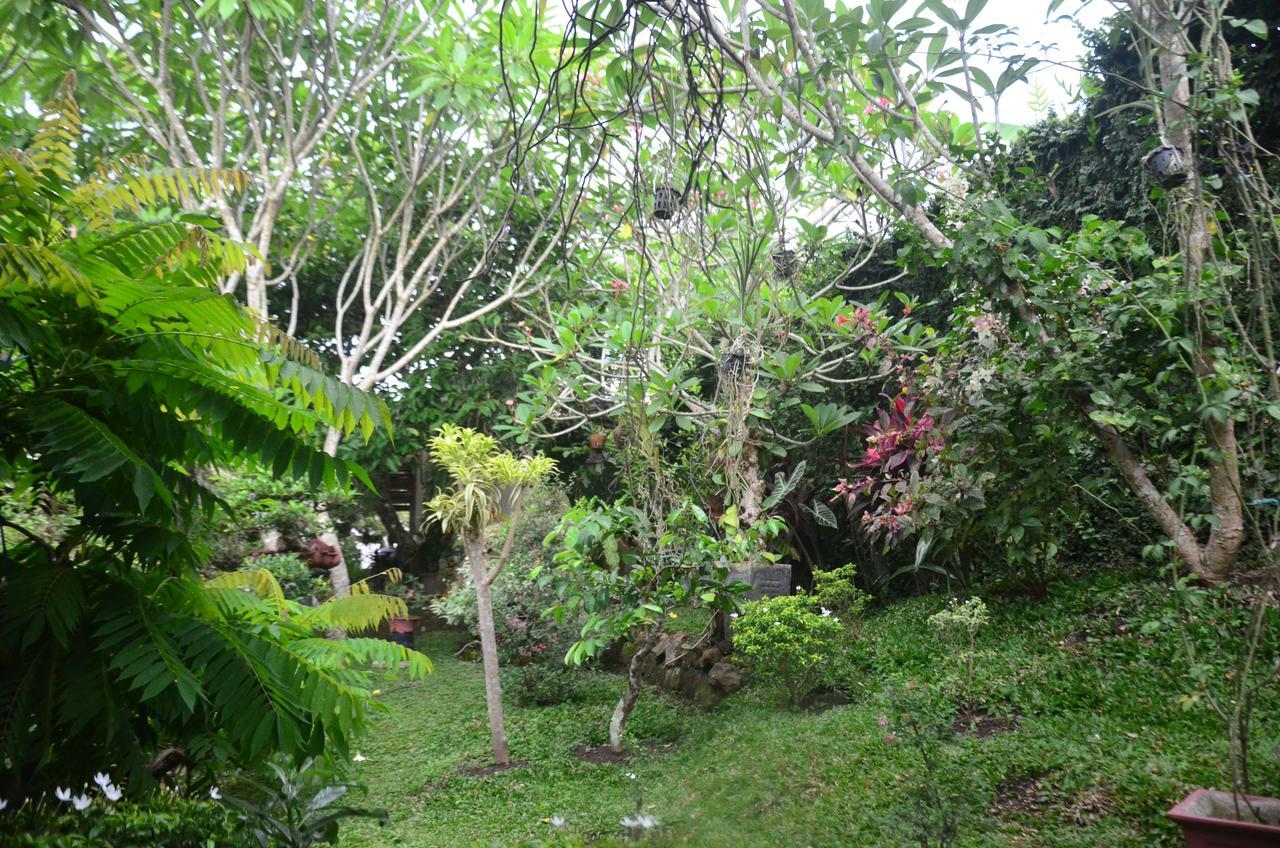 Banyu Homestay بانيووانجى المظهر الخارجي الصورة