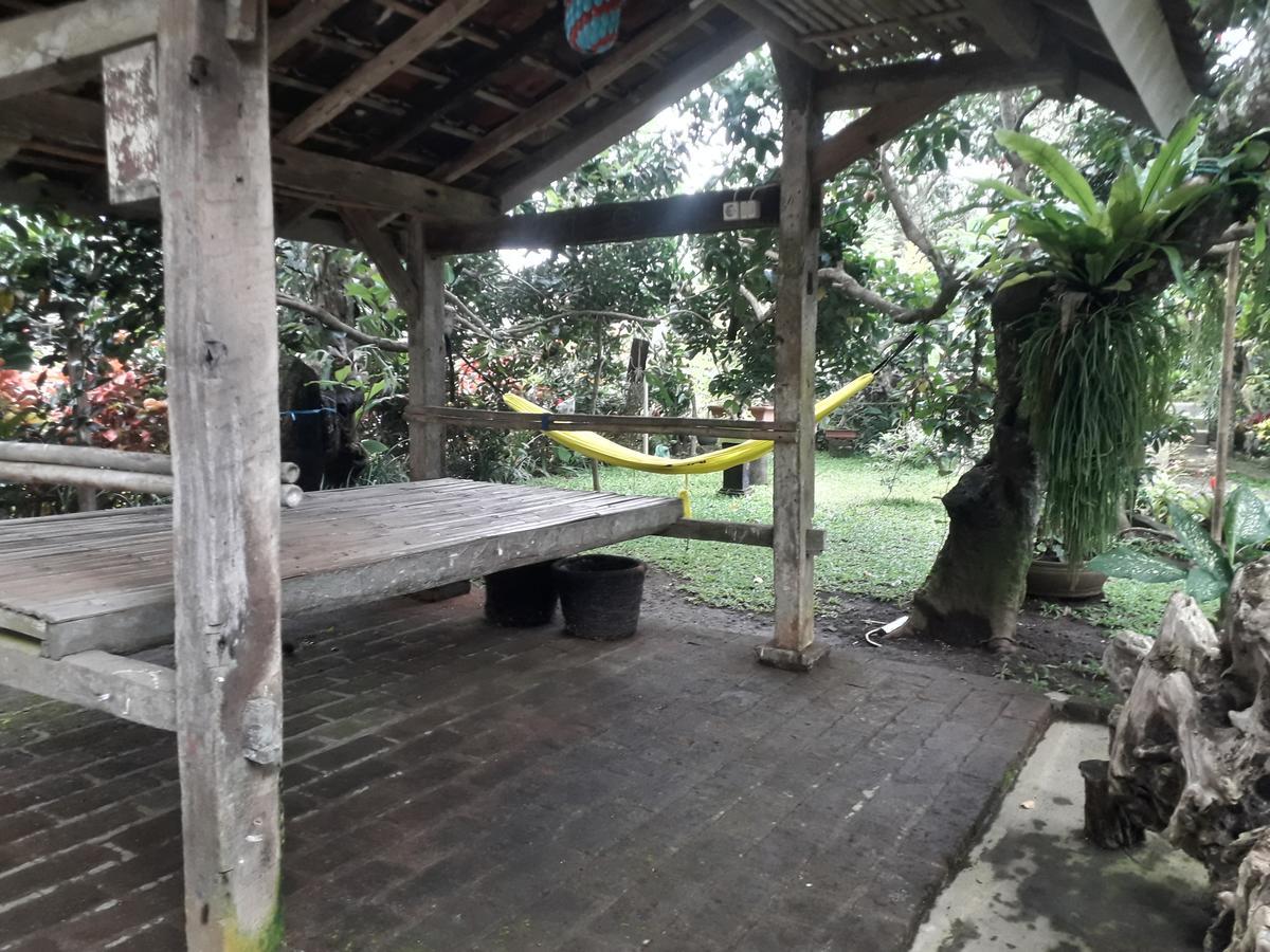 Banyu Homestay بانيووانجى المظهر الخارجي الصورة