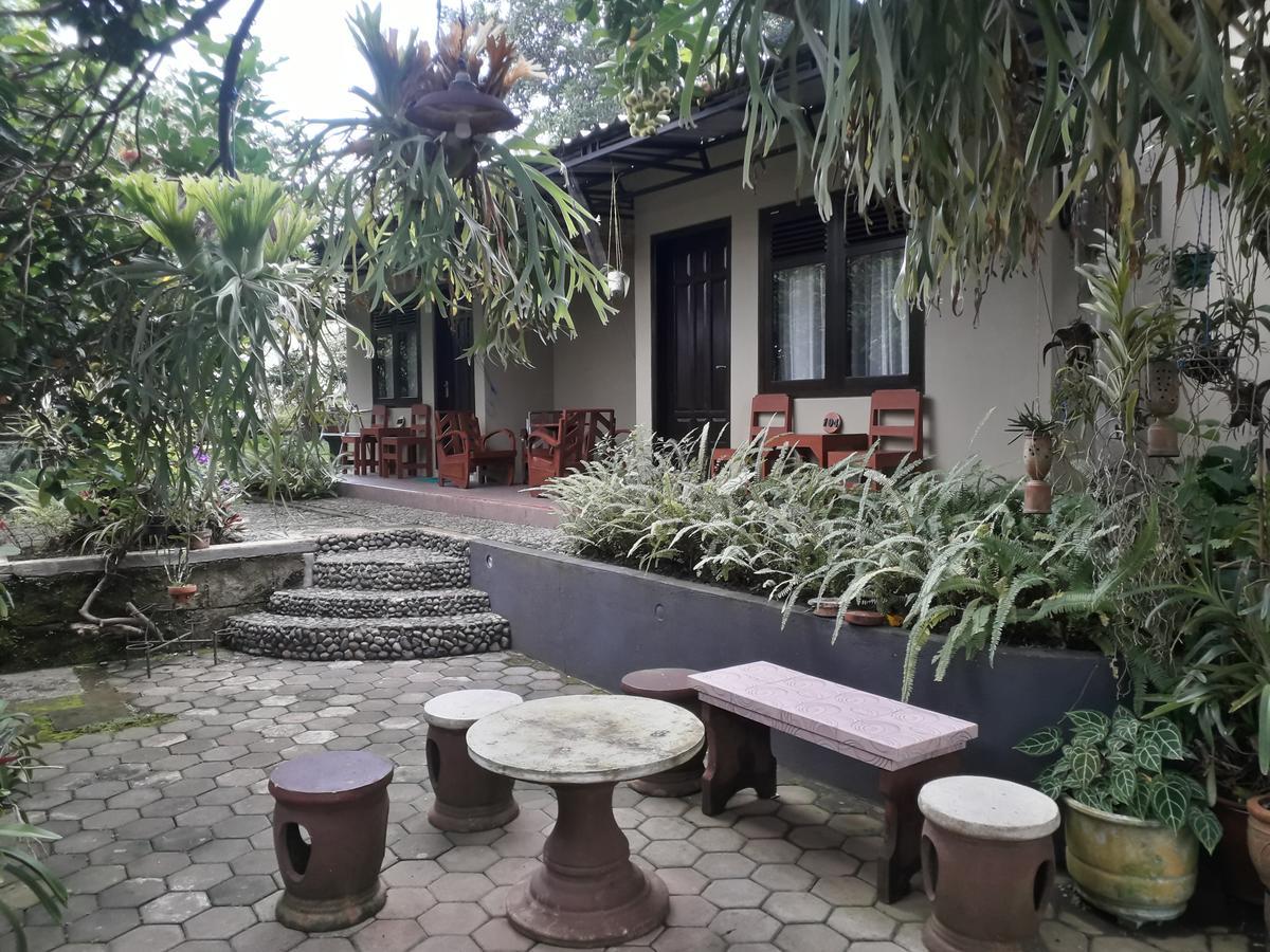 Banyu Homestay بانيووانجى المظهر الخارجي الصورة