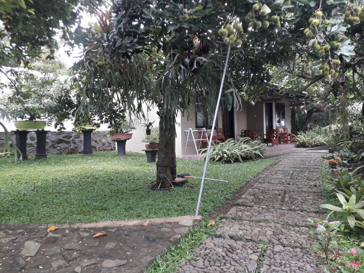 Banyu Homestay بانيووانجى المظهر الخارجي الصورة