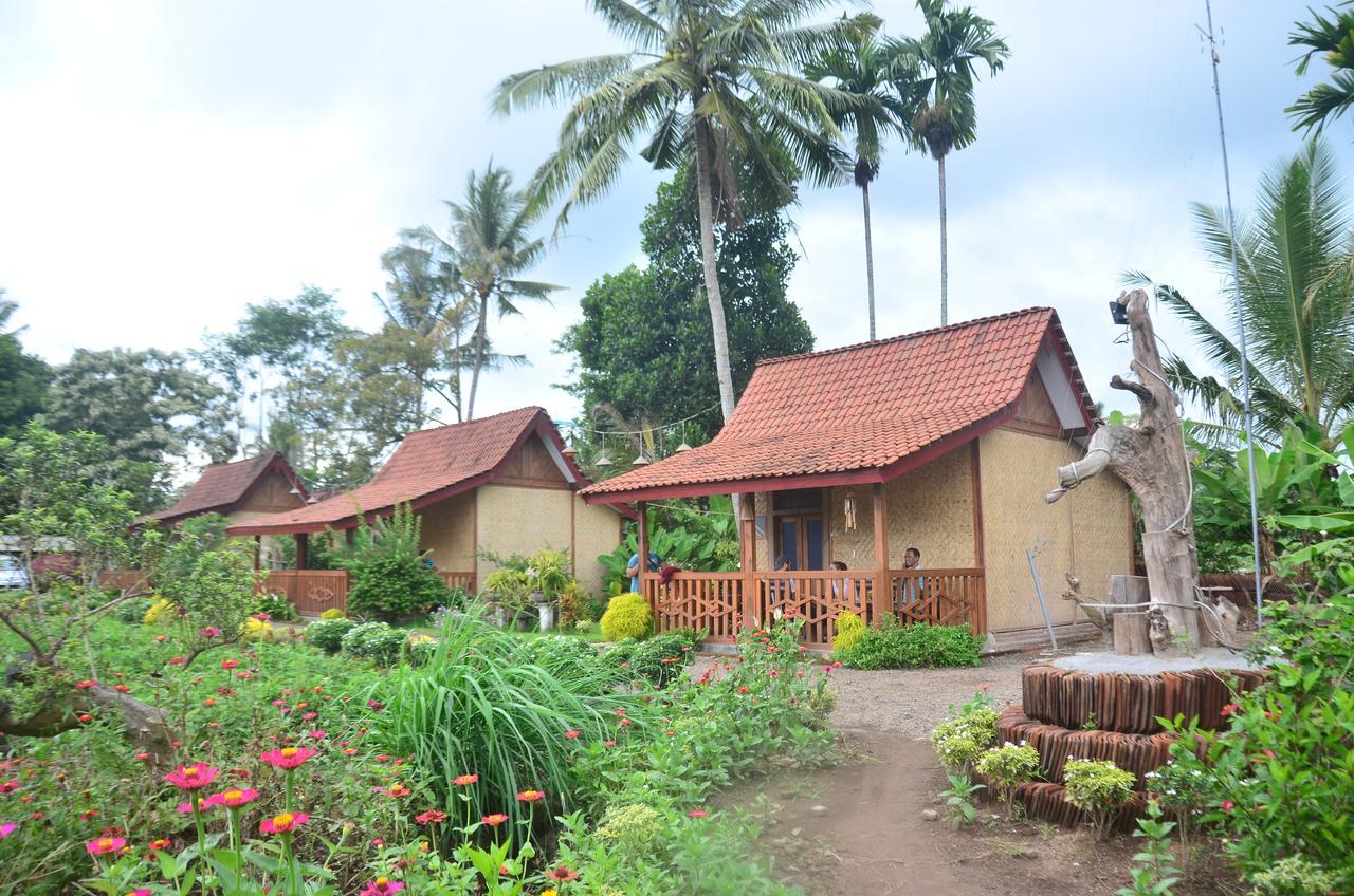 Banyu Homestay بانيووانجى المظهر الخارجي الصورة