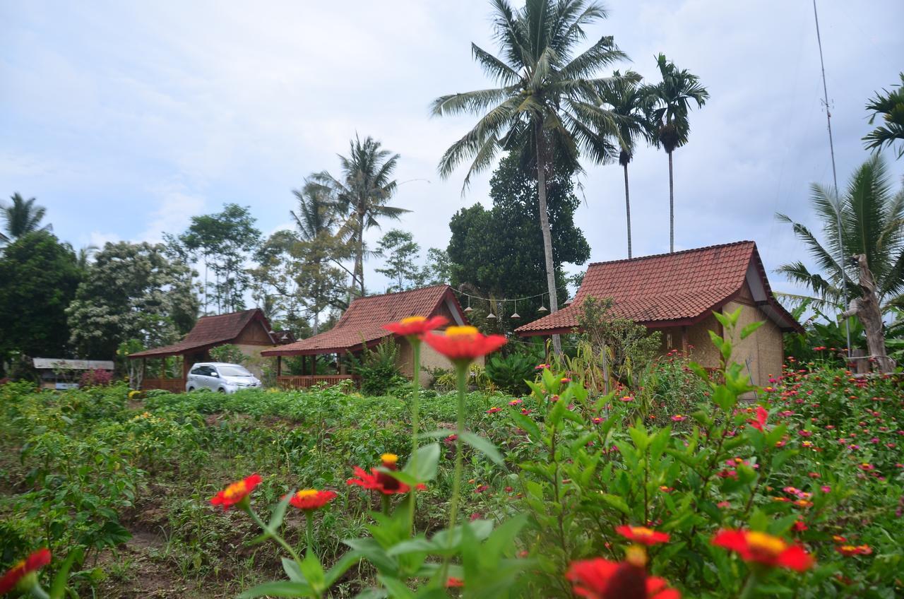 Banyu Homestay بانيووانجى المظهر الخارجي الصورة