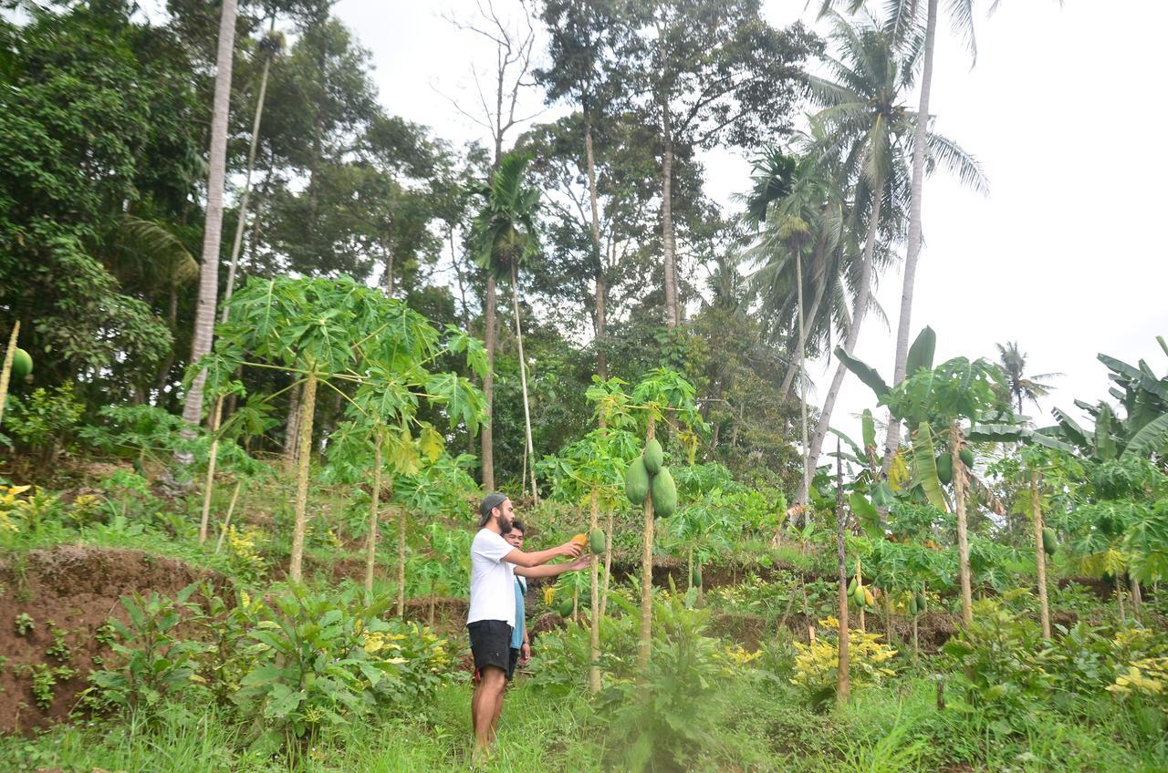 Banyu Homestay بانيووانجى المظهر الخارجي الصورة