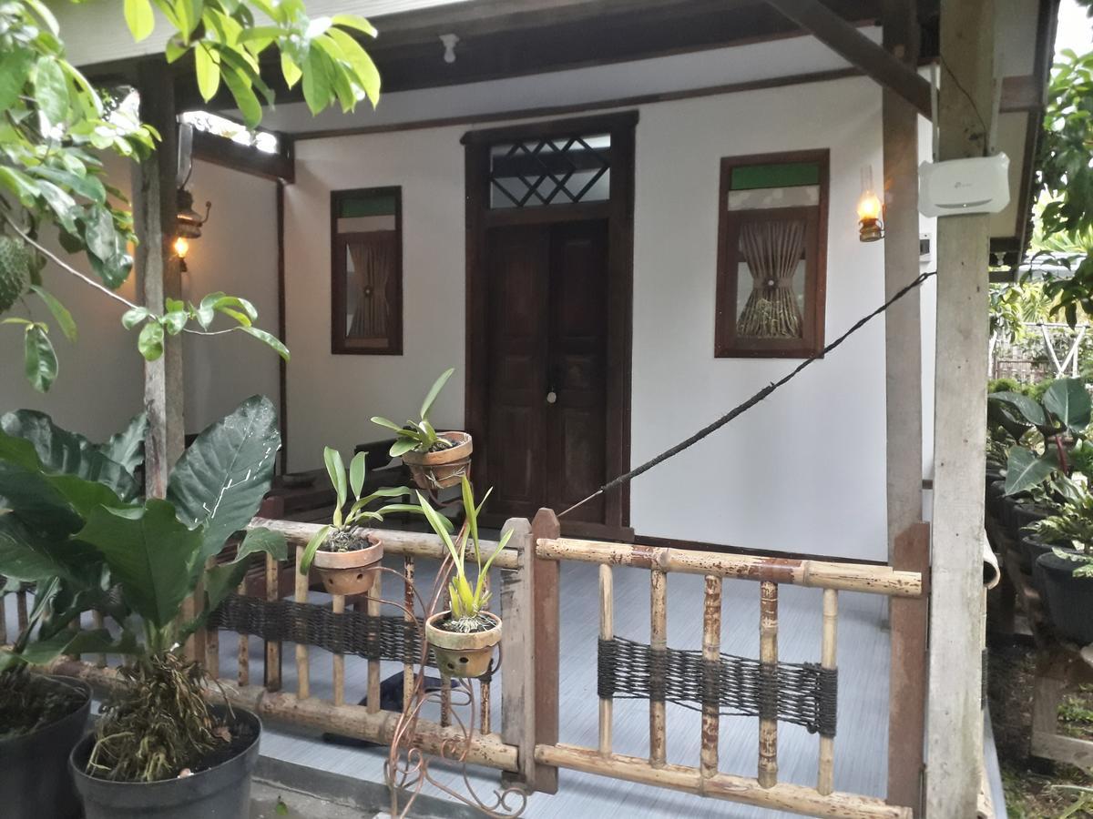 Banyu Homestay بانيووانجى المظهر الخارجي الصورة