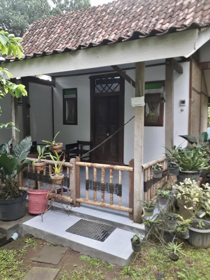 Banyu Homestay بانيووانجى المظهر الخارجي الصورة